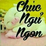 211+ Meme Chúc Ngủ Ngon Hài Hước, Dễ Thương Và Sinh Động