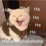 100+ Meme cười đểu bá đạo khiến bạn cười ngất