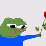 114+ Bộ Meme Ếch Hài Hước Gây Sốt Trên Mạng Xã Hội