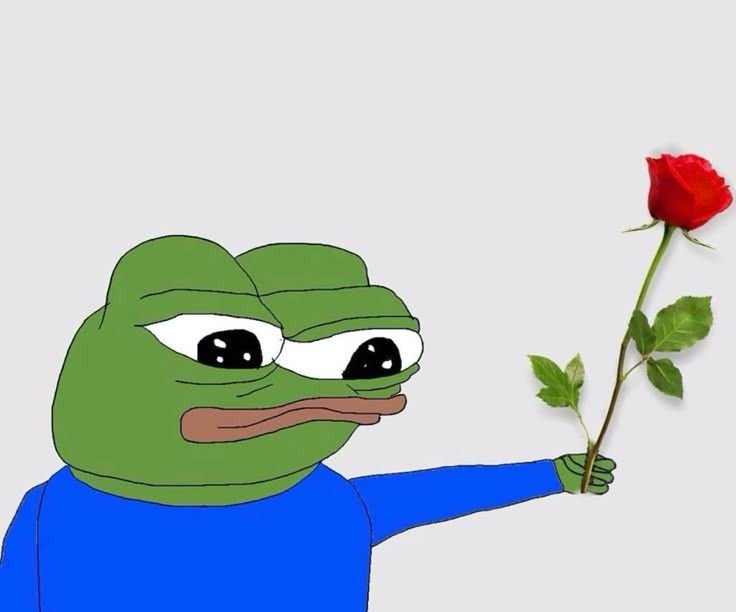 114+ Bộ Meme Ếch Hài Hước Gây Sốt Trên Mạng Xã Hội