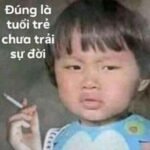 120+ Meme hài hot nhất khiến bạn cười xỉu
