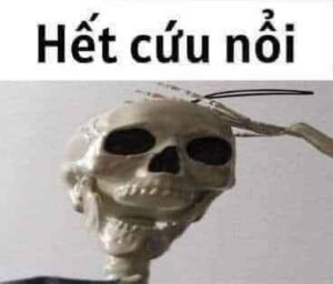 122+ Meme hết cứu khiến dân mạng cười xỉu