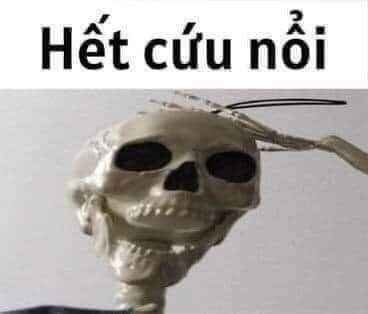 122+ Meme hết cứu khiến dân mạng cười xỉu