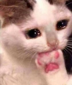 158+ Meme Suy Nghĩ Hài Hước Được Chia Sẻ Nhiều