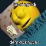 204+ Ngủ ngon meme hài hước gây nghiện