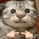 226+ Quê Meme Đỉnh Cao Khiến Bạn Ngại Ngùng