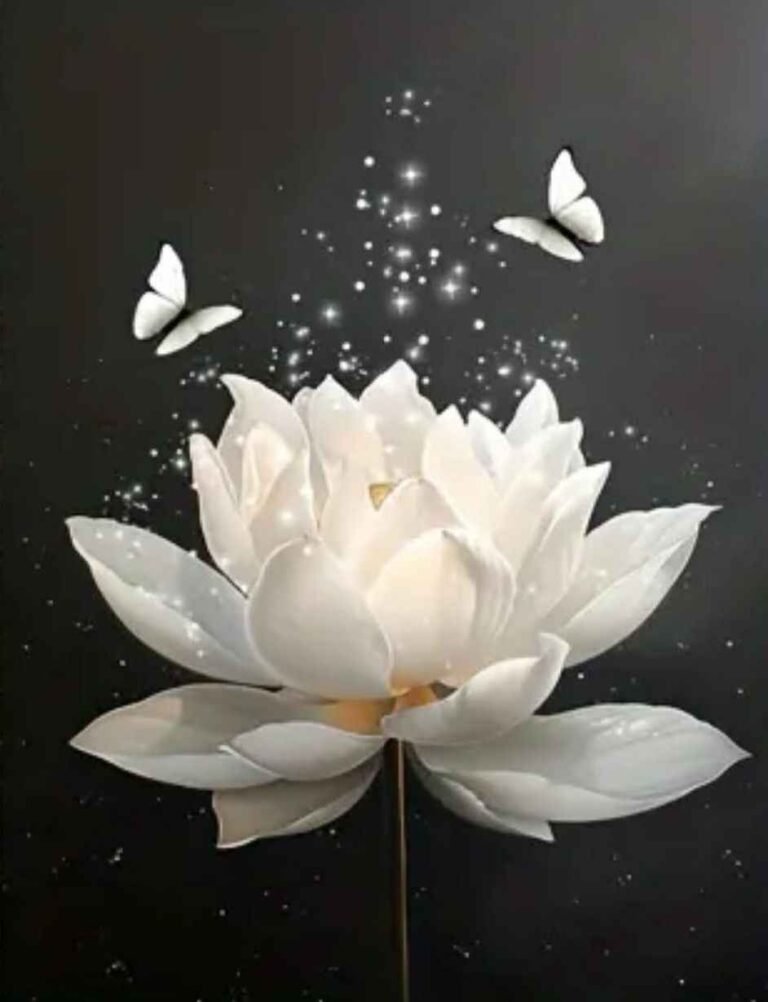 238+ Tải ảnh hoa sen trắng đám tang trang nghiêm