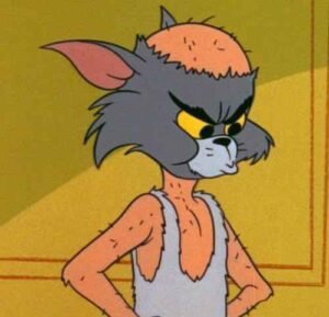 260+ Tom Meme Hài Hước Gây Cười Không Ngớt