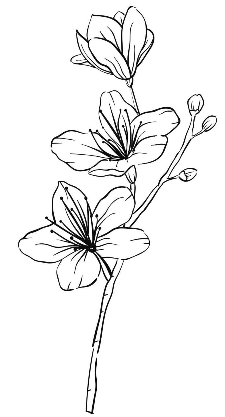 328+ Ý tưởng vẽ hoa sáng tạo đầy cảm hứng