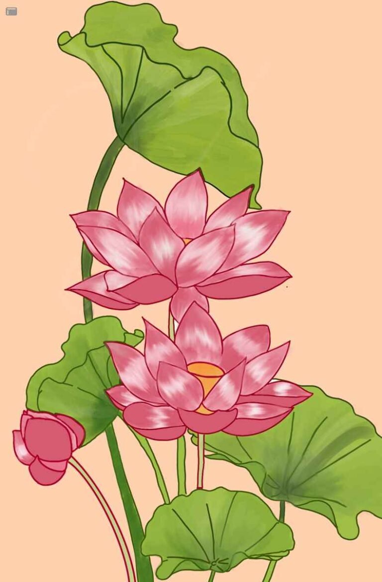 324+ Vẽ hoa sen tinh tế mang vẻ đẹp thanh khiết